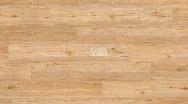 Кварцвиниловые полы Creation 55 0347_Ballerina фото 1 | FLOORDEALER