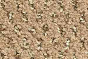 Ковролин Balsan Balmoral Balmoral 761 фото  | FLOORDEALER