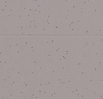 Forbo Sphera Energetic 50219 dolphin фото 2 | FLOORDEALER