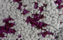 Ковровая плитка ColorKey ColorKey c 05 фото 1 | FLOORDEALER