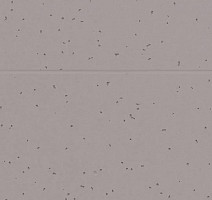 Forbo Sphera Energetic 50219 dolphin фото 2 | FLOORDEALER