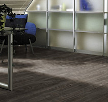 Kronotex Exquisit Plus d4785 Дуб Гала Титан фото 4 | FLOORDEALER