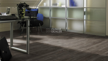 Kronotex Exquisit Plus d4785 Дуб Гала Титан фото 4 | FLOORDEALER
