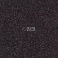 Ковролин Spark W2W 482 Spark w2w фото 1 | FLOORDEALER
