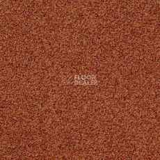 Ковровая плитка Desso Torso 5213 фото 1 | FLOORDEALER