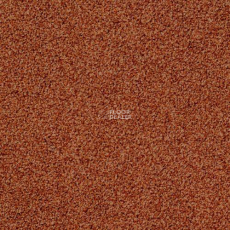 Desso Torso 5213 фото 1 | FLOORDEALER