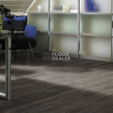 Kronotex Exquisit Plus d4785 Дуб Гала Титан фото 4 | FLOORDEALER