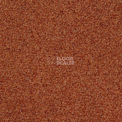 Ковровая плитка Desso Torso 5213 фото 1 | FLOORDEALER