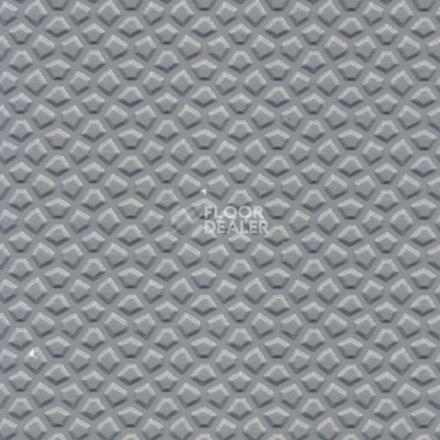 Линолеум Apoluza Sportfloor PVC для бассейнов 2.5 мм 206-002 фото 1 | FLOORDEALER