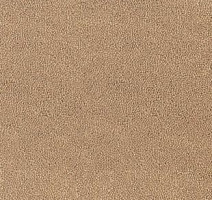 Ковролин Desso Asteranne 1709 фото 1 | FLOORDEALER