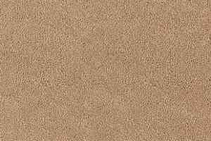 Ковролин Desso Asteranne 1709 фото  | FLOORDEALER