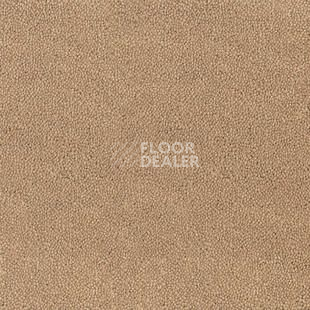 Ковролин Desso Asteranne 1709 фото 1 | FLOORDEALER