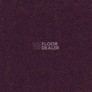 Ковролин AW Emerald 19 фото 1 | FLOORDEALER