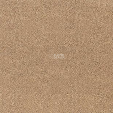 Desso Asteranne 1709 фото 1 | FLOORDEALER