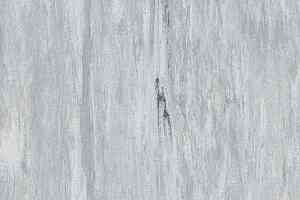 Линолеум Mipolam Robust El7 0002 фото  | FLOORDEALER