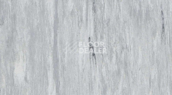 Линолеум Gerflor Mipolam Robust El7 0002 фото 1 | FLOORDEALER