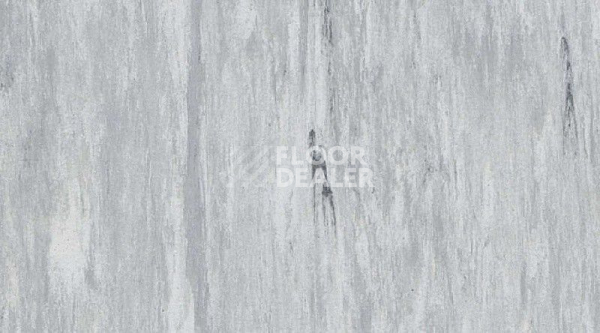 Линолеум Gerflor Mipolam Robust El7 0002 фото 1 | FLOORDEALER