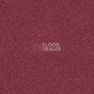 Ковровая плитка Interface Sherbet Fizz 5558 фото 1 | FLOORDEALER