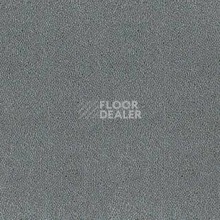 Ковролин Desso Asteranne 8906 фото 1 | FLOORDEALER