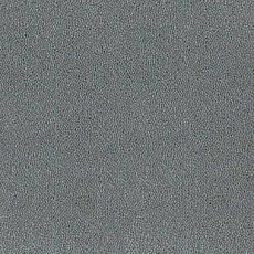 Ковролин Desso Asteranne 8906 фото 1 | FLOORDEALER