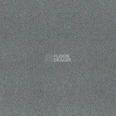 Ковролин Desso Asteranne 8906 фото 1 | FLOORDEALER