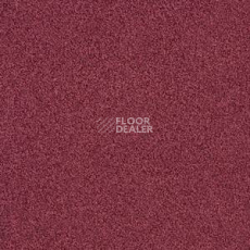 Ковровая плитка Interface Sherbet Fizz 5558 фото 1 | FLOORDEALER