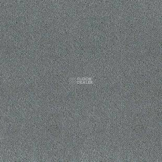 Desso Asteranne 8906 фото 1 | FLOORDEALER