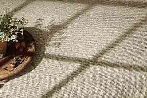 Ковролин Vorwerk Essential 1008 Vorwerk 8j21 фото  | FLOORDEALER