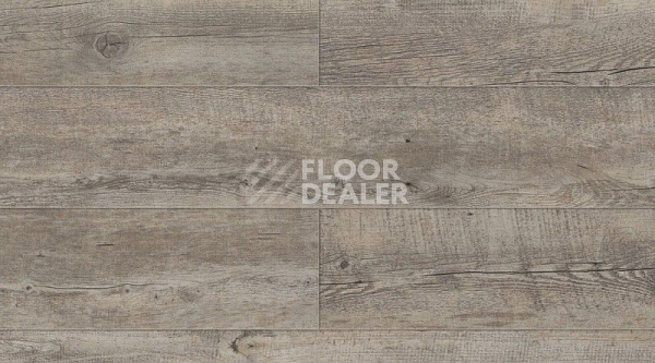 Кварцвиниловые полы Gerflor Creation 55 Clic 0456_ranch фото 1 | FLOORDEALER