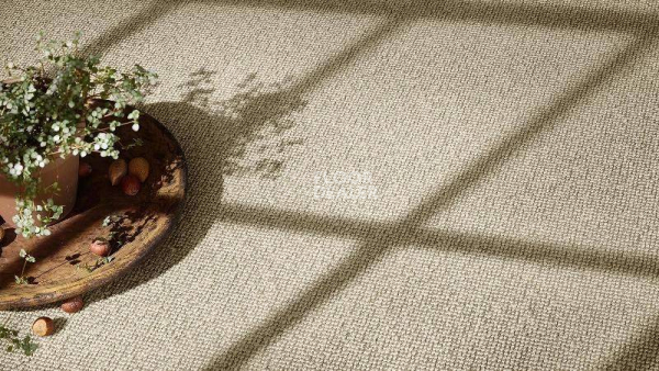 Ковролин Vorwerk Essential 1008 Vorwerk 8j21 фото 1 | FLOORDEALER