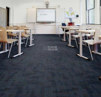 Tessera Alignment 203 Cyclone фото 2 | FLOORDEALER