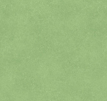 Линолеум Tarkett Acczent Pro Nara 6 фото 1 | FLOORDEALER