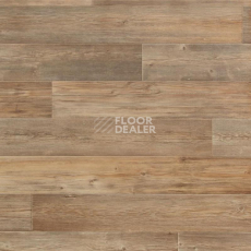 Линолеум Tarkett Весна TORONTO 1 фото 1 | FLOORDEALER