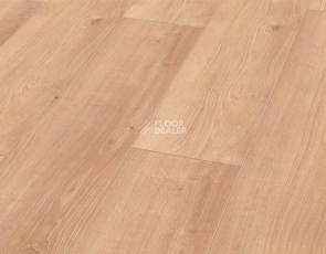 Rooms Penthouse 12мм R1228А Дуб Кашмир платиновый фото 1 | FLOORDEALER