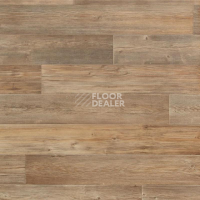 Линолеум Tarkett Весна TORONTO 1 фото 1 | FLOORDEALER