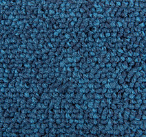 Standard Carpets Spectrum sm 556 фото 2 | FLOORDEALER