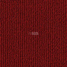 Edel Gloss 155 фото 1 | FLOORDEALER