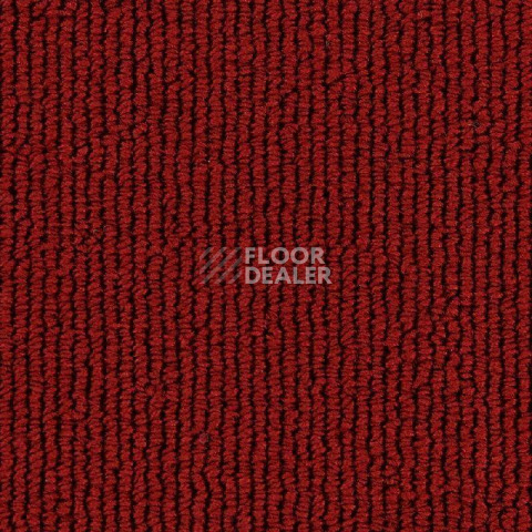 Ковролин Edel Gloss 155 фото 1 | FLOORDEALER
