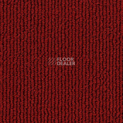 Ковролин Edel Gloss 155 фото 1 | FLOORDEALER