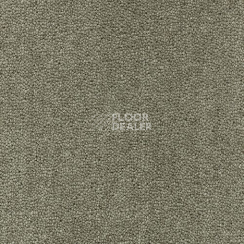 Ковролин Creatuft Sheba 1025 Olive 5m фото 1 | FLOORDEALER