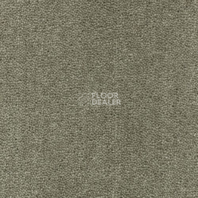 Ковролин Creatuft Sheba 1025 Olive 5m фото 1 | FLOORDEALER