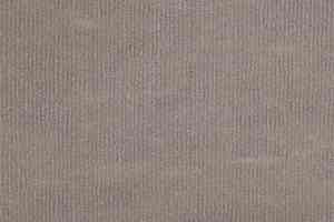 Ковролин Tapibel Secura 4843 фото  | FLOORDEALER