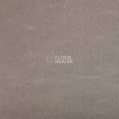 Ковролин Tapibel Secura 4843 фото 1 | FLOORDEALER