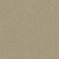 Ковролин Haima Lounge x 4452 фото 1 | FLOORDEALER