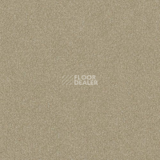 Ковролин Haima Lounge x 4452 фото 1 | FLOORDEALER