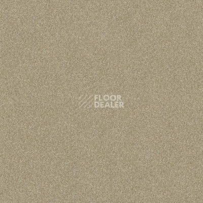 Ковролин Haima Lounge x 4452 фото 1 | FLOORDEALER