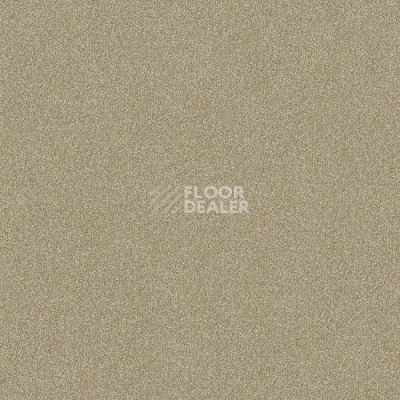 Ковролин Haima Lounge x 4452 фото 1 | FLOORDEALER