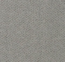 Ковролин Vorwerk Passion 1006 Vorwerk 5v45 фото 1 | FLOORDEALER