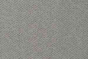 Ковролин Vorwerk Passion 1006 Vorwerk 5v45 фото  | FLOORDEALER