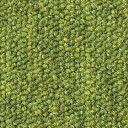 Ковровая плитка DESSO Airmaster Tierra 6408  | FLOORDEALER